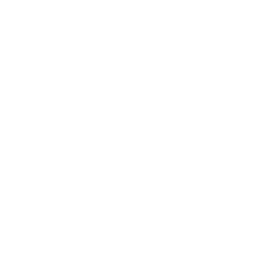 Weigh Scale